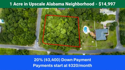 Undeveloped Land in Covington County, Alabama