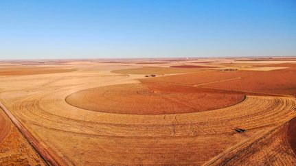 Farm Property in Parmer County, Texas