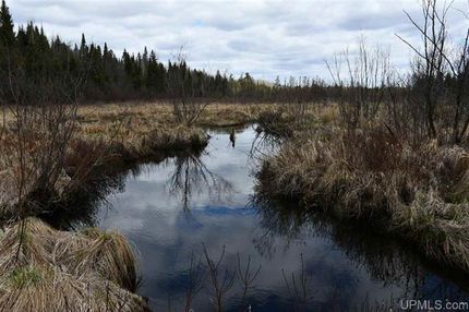 Farm Property in Iron County, Michigan