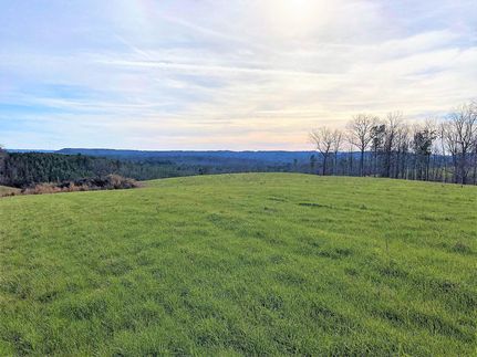 Undeveloped Land in Blount County, Alabama