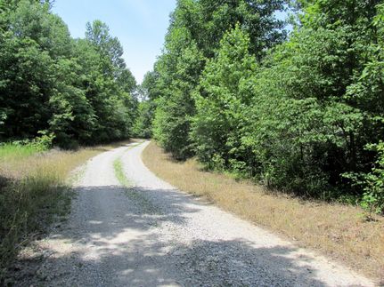 Timberland Property in Ohio County, Kentucky