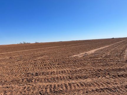 Recreational Property in Mitchell County, Texas