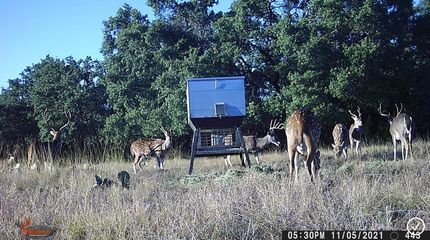 Recreational Property in Edwards County, Texas