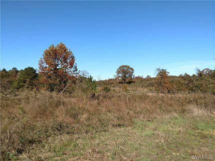 Property in Hale County, Alabama