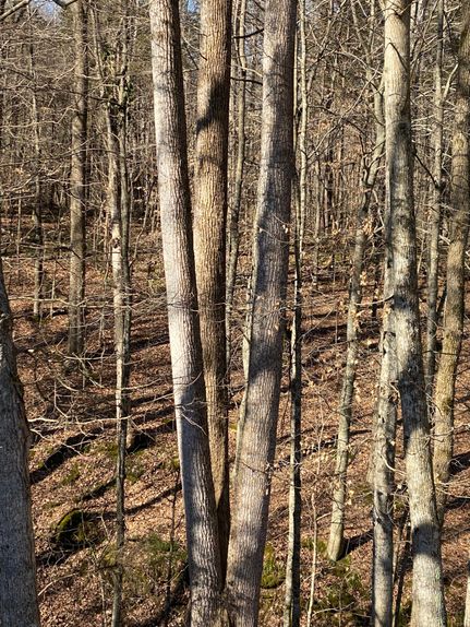 Commercial Property in Adair County, Kentucky