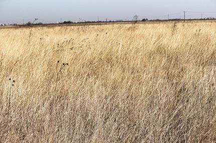 Horse Property in Hale County, Texas