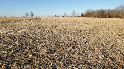 Timberland Property in Highland County, Ohio