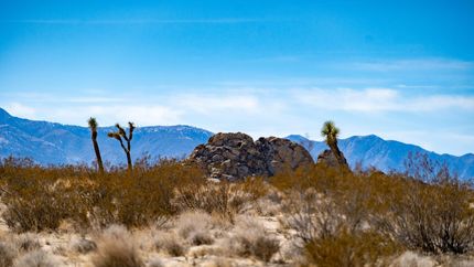 Hunting Land in San Bernardino County, California