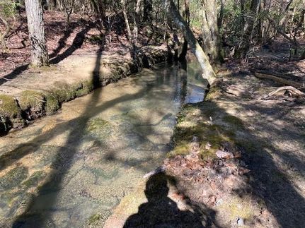 Farm Property in Marion County, Tennessee
