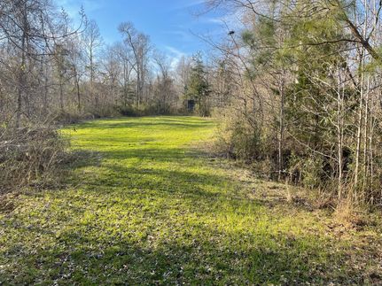Ranch Property in Jefferson County, Mississippi