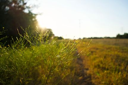 Recreational Property in Madison County, Texas