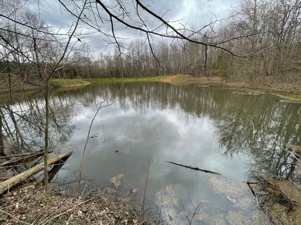 Property in Henry County, Tennessee