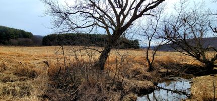 Waterfront Property in Richland County, Wisconsin