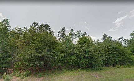 Recreational Property in Gadsden County, Florida