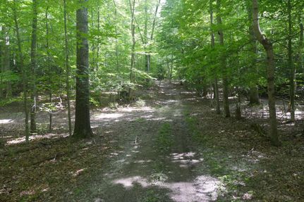 Hunting Land in Smyth County, Virginia