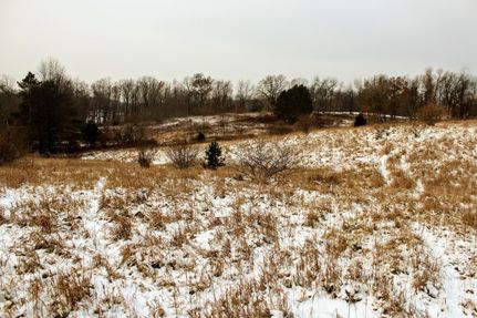 Recreational Property in Barry County, Michigan