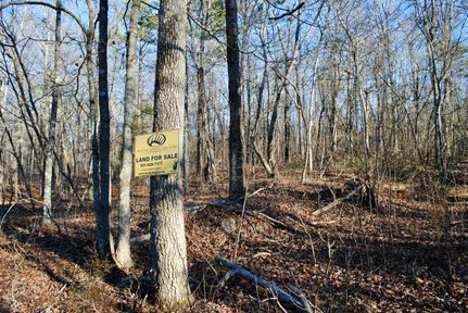 Ranch Property in Van Buren County, Arkansas