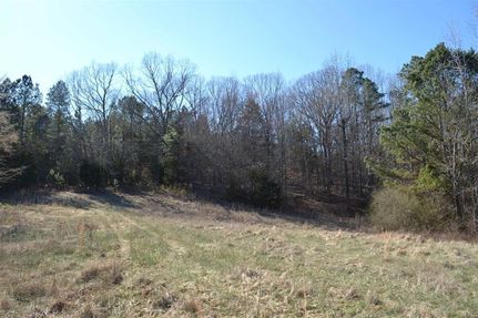Hunting Land in Decatur County, Tennessee