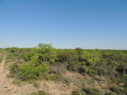 Recreational Property in Coleman County, Texas