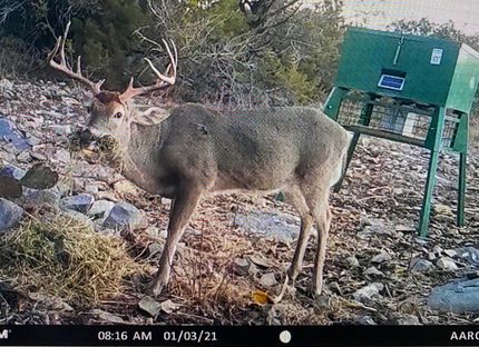 Recreational Property in Edwards County, Texas