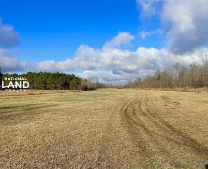 Hunting Land in Johnston County, North Carolina