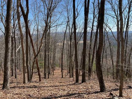 Hunting Land in Floyd County, Virginia