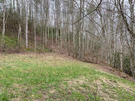 Residential Property in Smyth County, Virginia