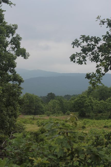 Timberland Property in Le Flore County, Oklahoma