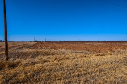 Undeveloped Land in Jones County, Texas