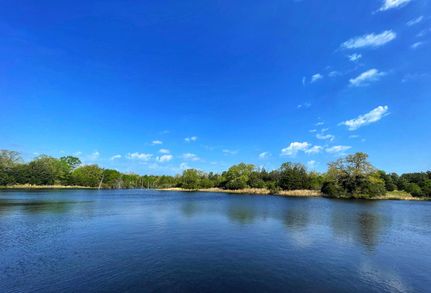 Ranch Property in Leon County, Texas