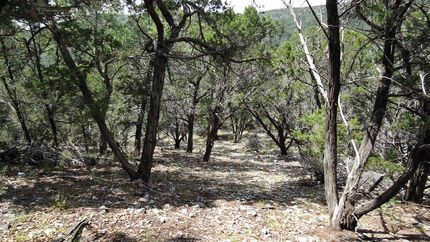 Residential Property in Real County, Texas