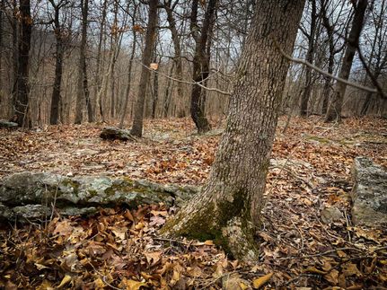 Farm Property in Benton County, Missouri