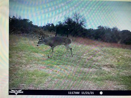 Property in Comanche County, Texas