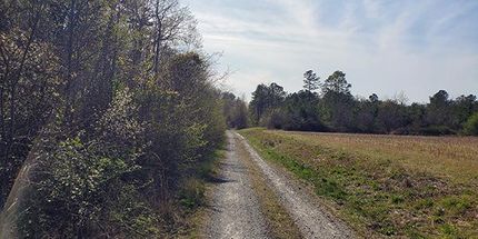 Property in Isle of Wight County, Virginia