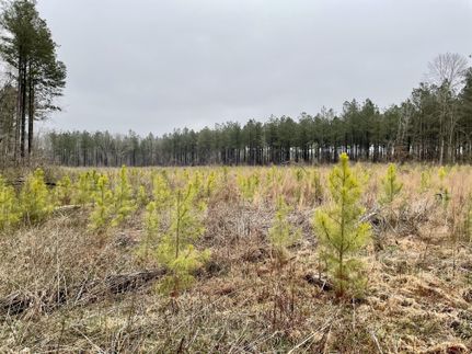 Farm Property in Laurens County, South Carolina