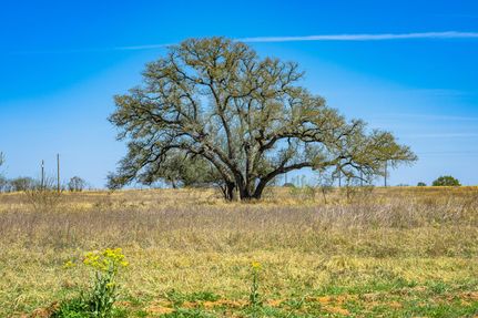 Residential Property in Frio County, Texas