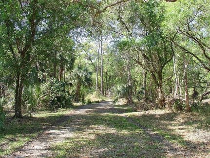 Hunting Land in Glades County, Florida
