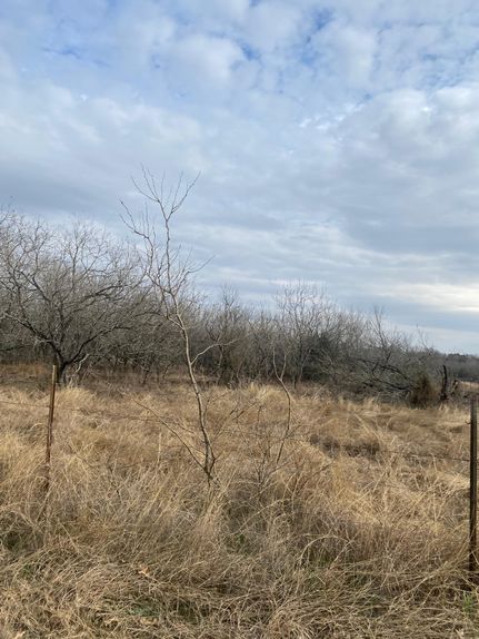 Ranch Property in Caldwell County, Texas