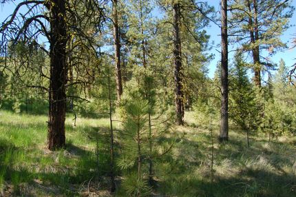 Residential Property in Okanogan County, Washington