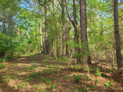 Farm Property in Cass County, Texas