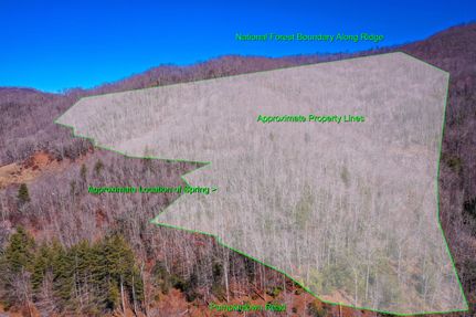 Timberland Property in Jackson County, North Carolina