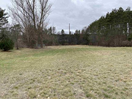 Undeveloped Land for sale in Portage County, Wisconsin