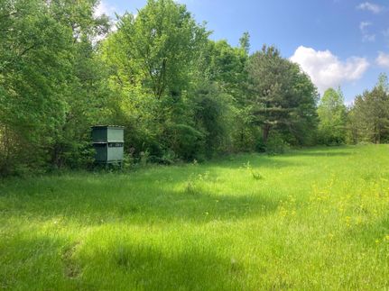 Farm Property in Calhoun County, Alabama