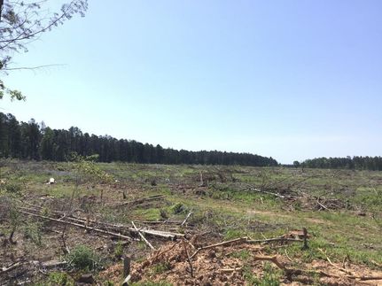 Hunting Land in McCormick County, South Carolina