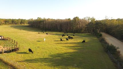 Recreational Property in Washington County, Florida