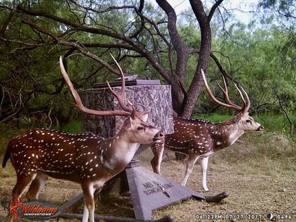 Property in Ellis County, Texas