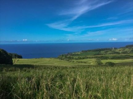 Farm Property in Hawaii County, Hawaii