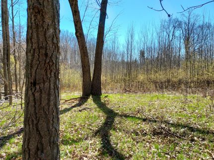 Ranch Property in Isabella County, Michigan