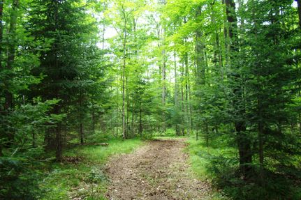 Property in Florence County, Wisconsin