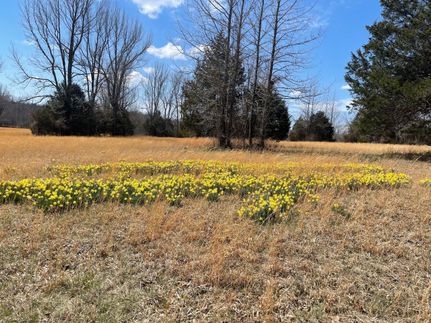 Property in Jackson County, Arkansas